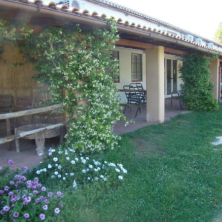 Borgo S.Maria Di Vulci Guest House Montalto di Castro Eksteriør bilde