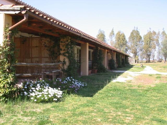 Borgo S.Maria Di Vulci Guest House Montalto di Castro Eksteriør bilde